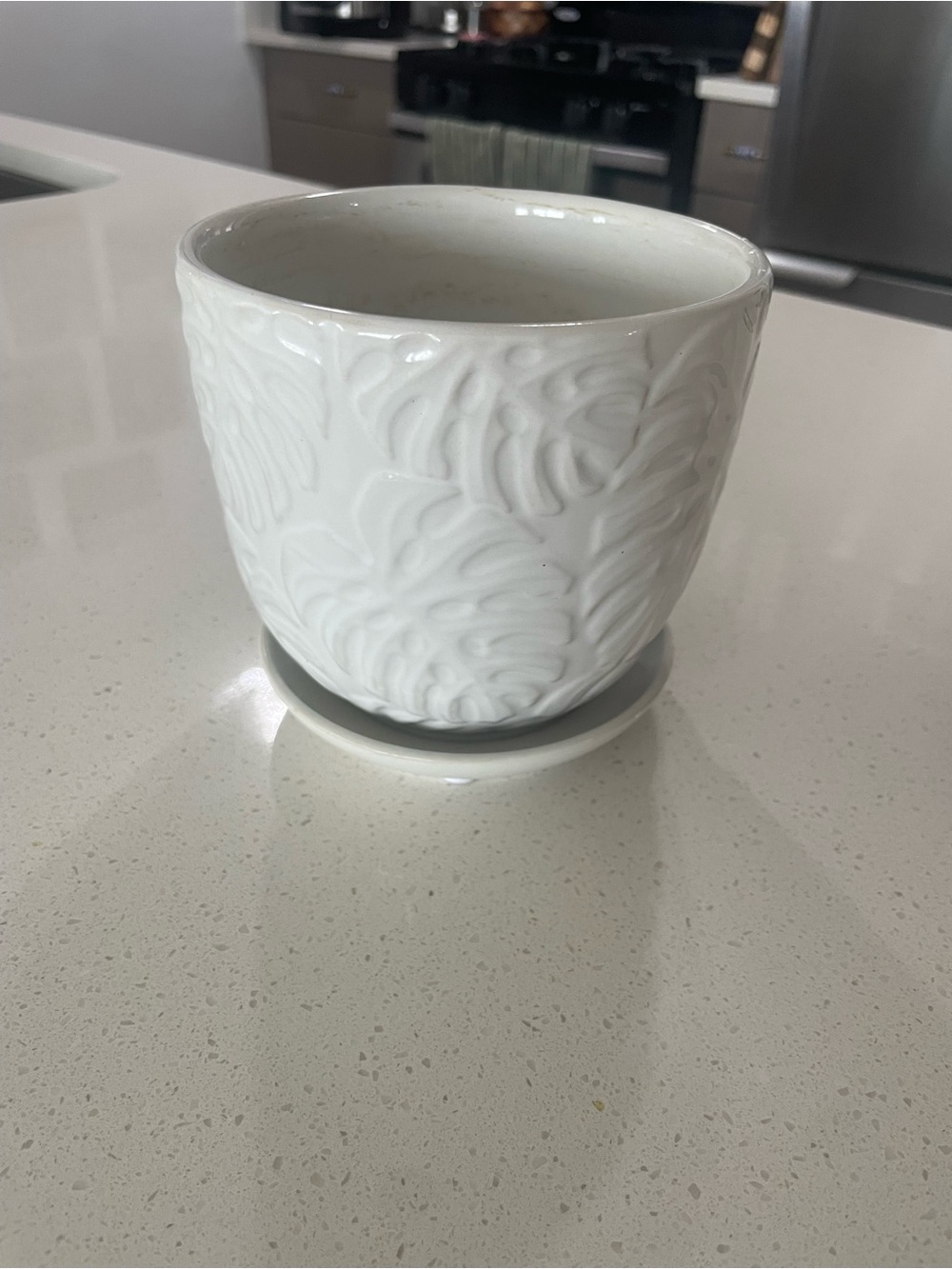 White Embossed Ceramic Monstera Planter with Built-in Drainage Hole